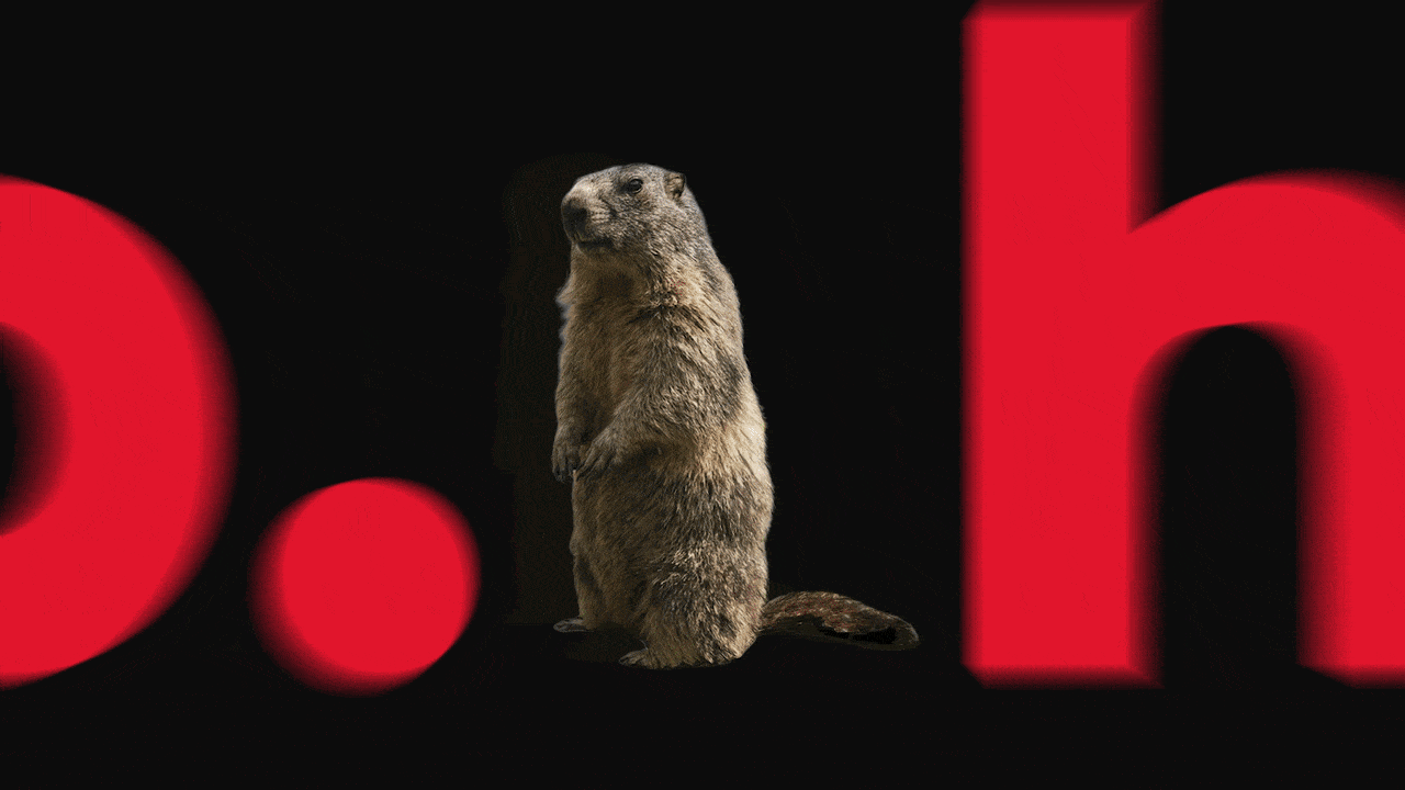 Aperçu animé — Marmotte Cycle